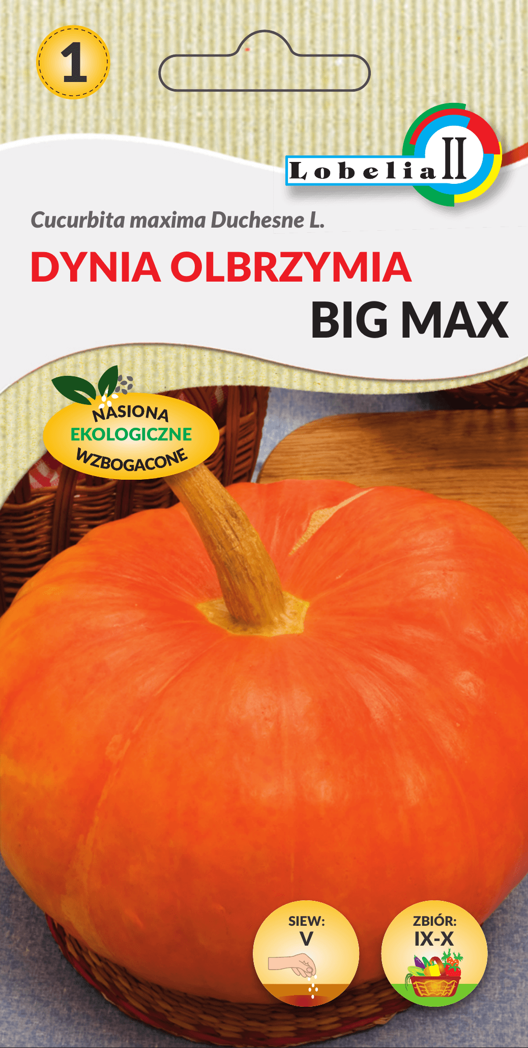 Dynia olbrzymia big max