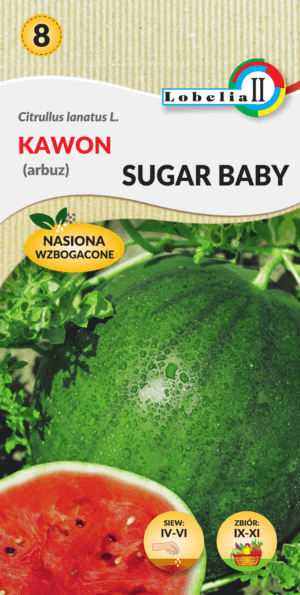 Kawon sugar baby (arbuz)