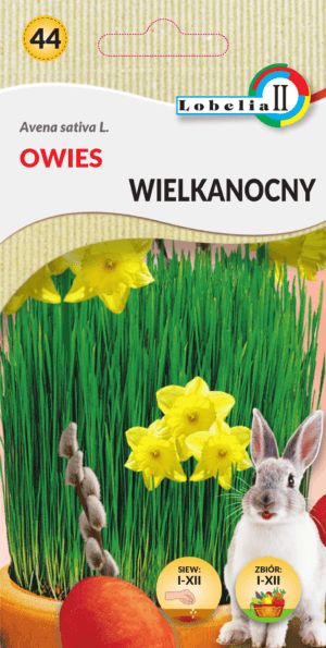 Owies wielkanocny