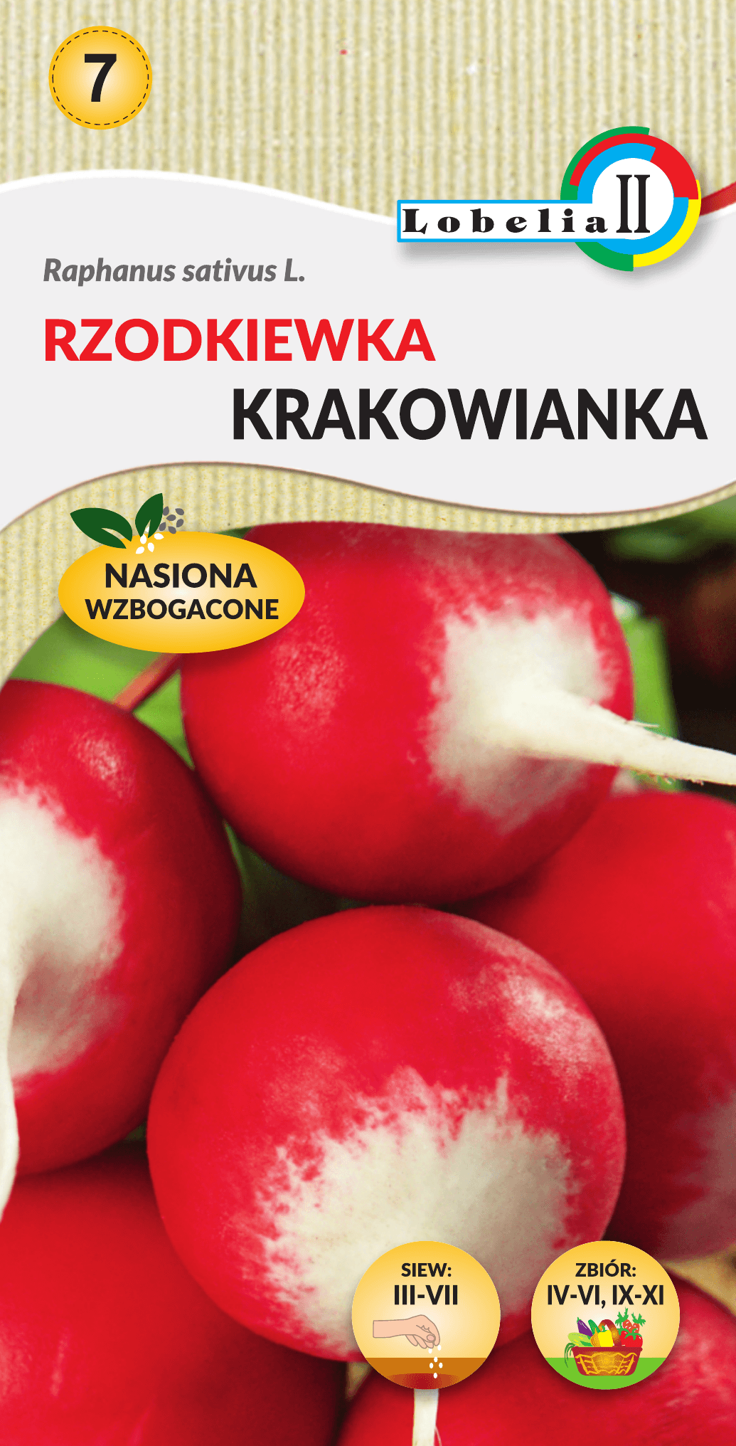 Rzodkiewka krakowianka