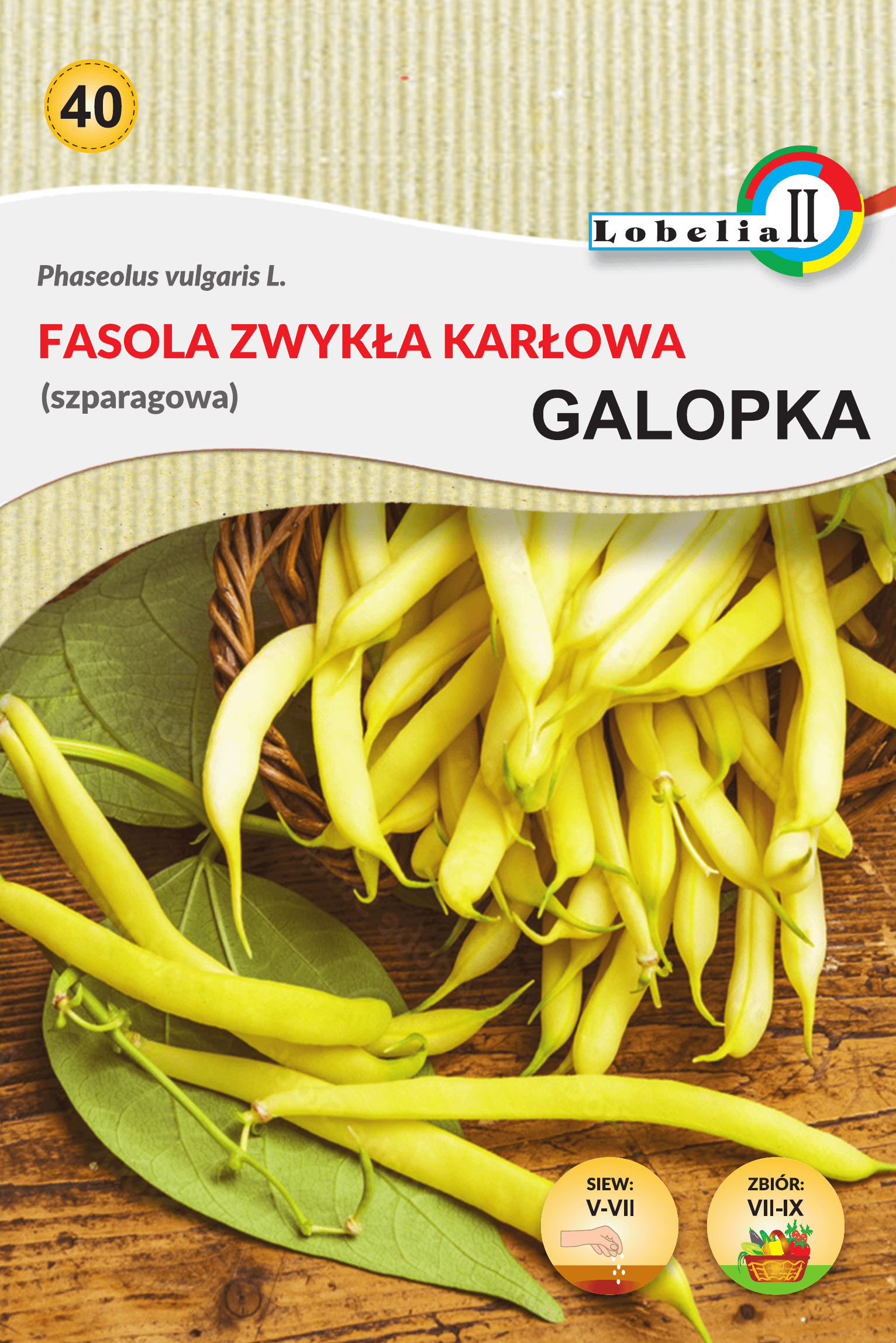 Fasola zwykła karłowa galopka
