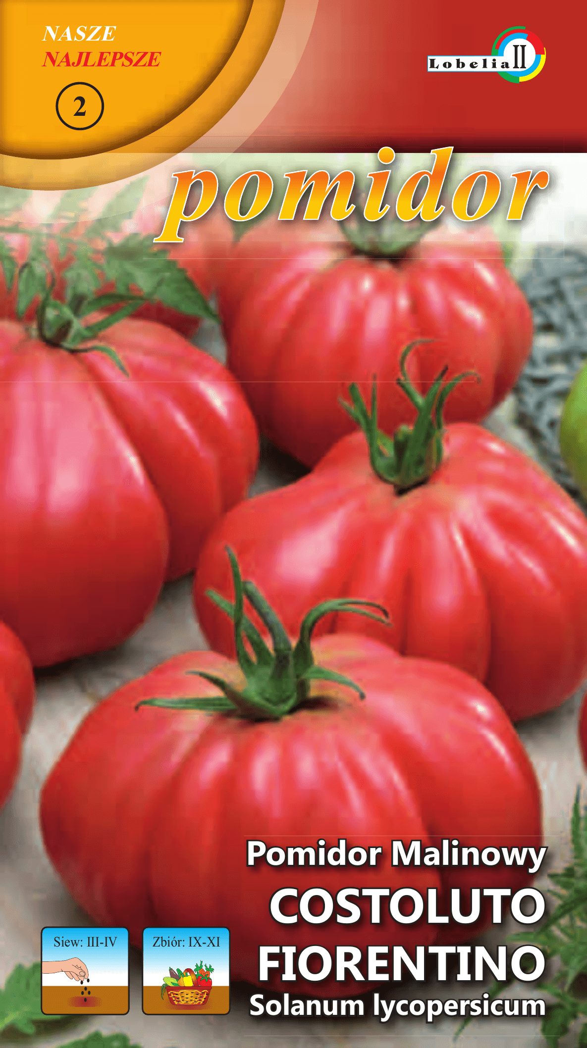 Pomidor malinowy costoluto fiorentino