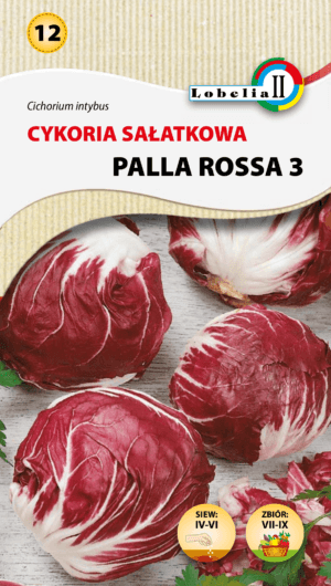 Cykoria liściowa Polla Rossa