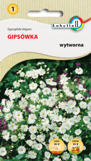 Gipsówka wytworna biała