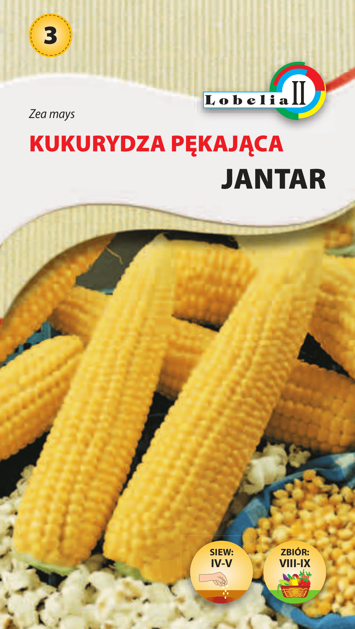 Kukurydza pękająca jantar